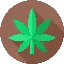 maconha