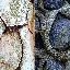 abstractphotography