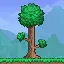 terraria
