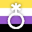 nonbinary