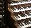 organ