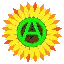 anarchism