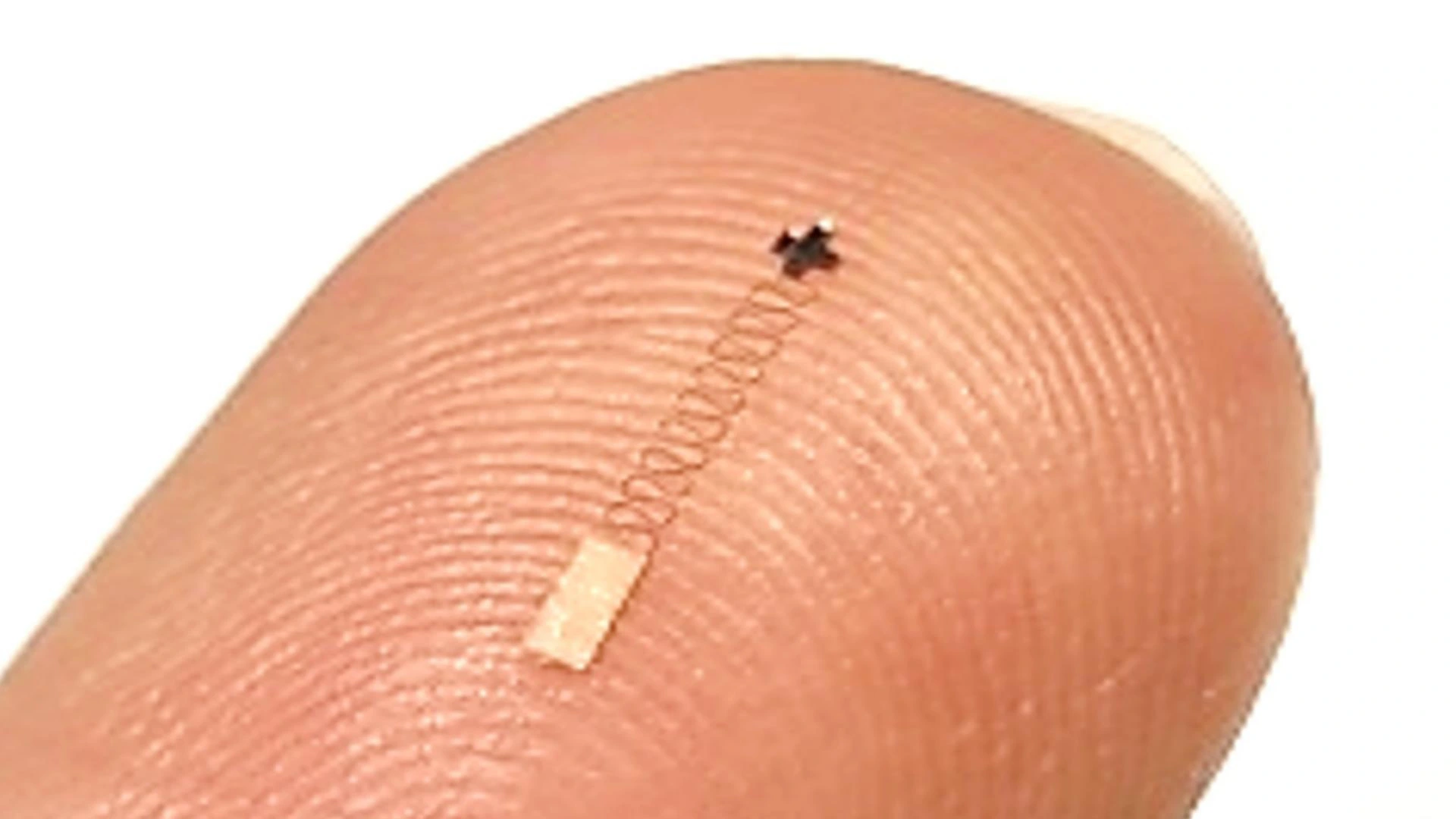 Tiny brain sensor shows 96.4% accuracy in identifying neural signals - Futurology Today