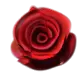 Seeing a Rose in Five Thousand Ways.