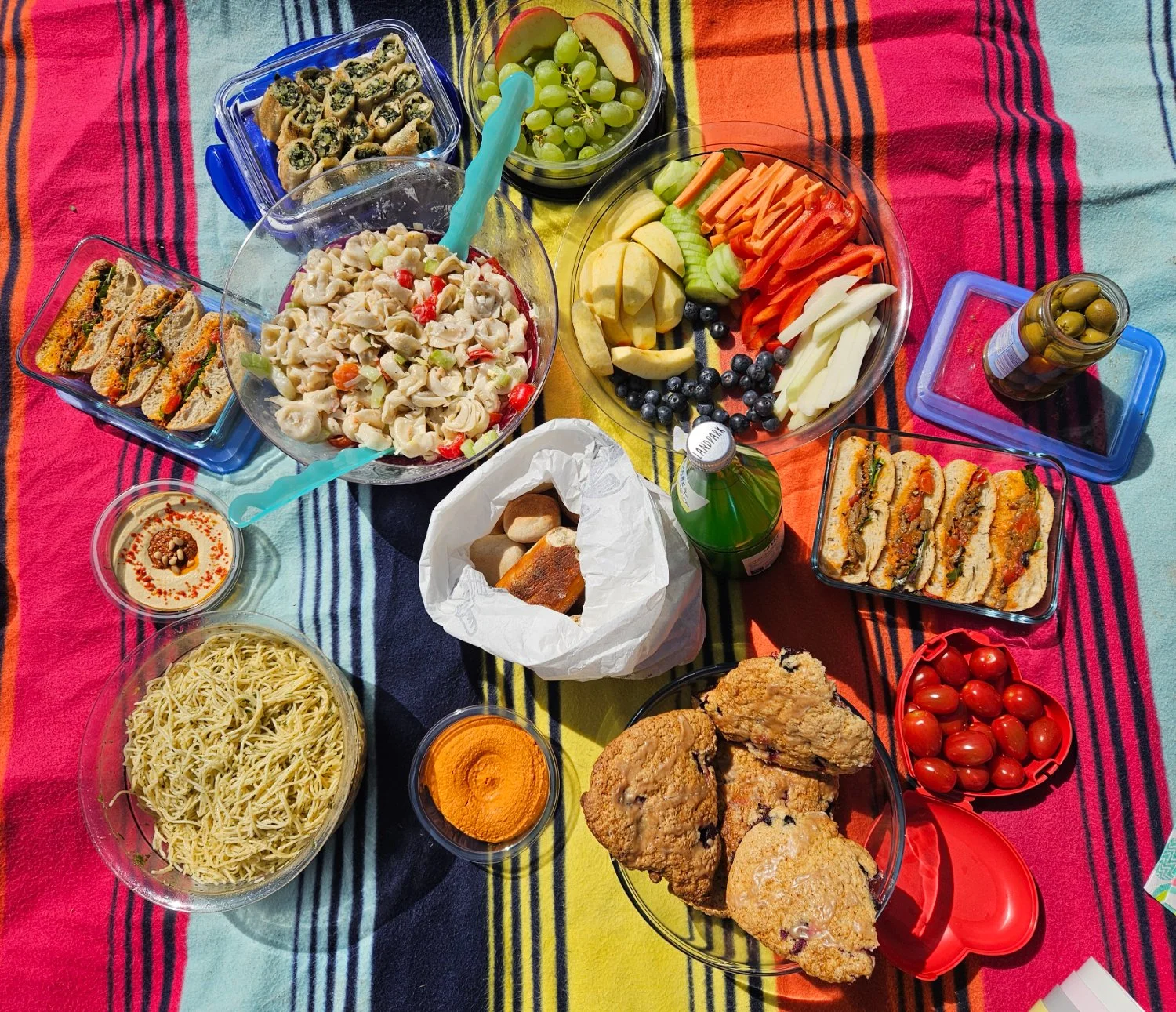 Picknick: auf einer Decke liegt ein Buffet mit diversen veganen Speisen