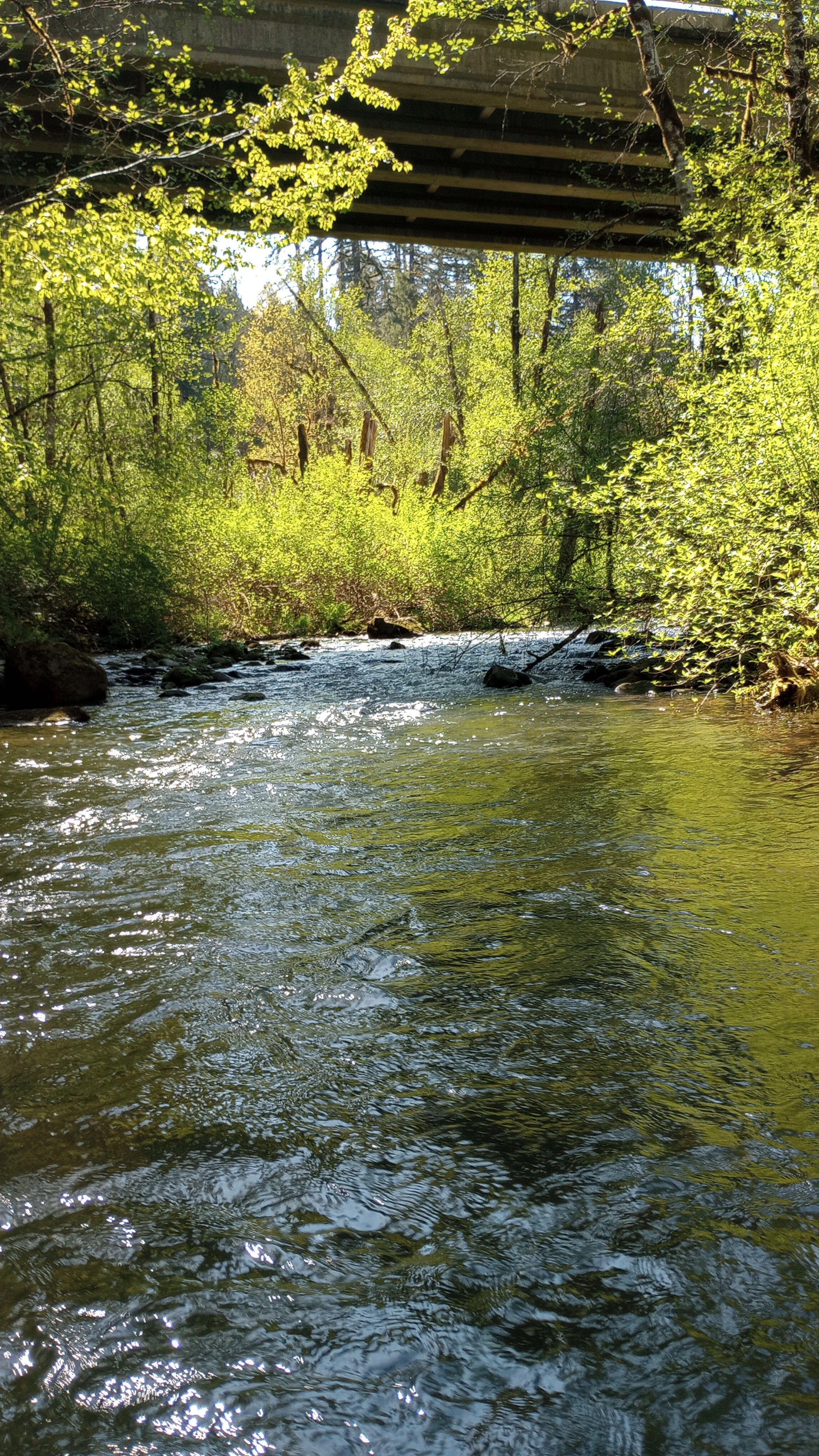 Looking upstream under a bridge