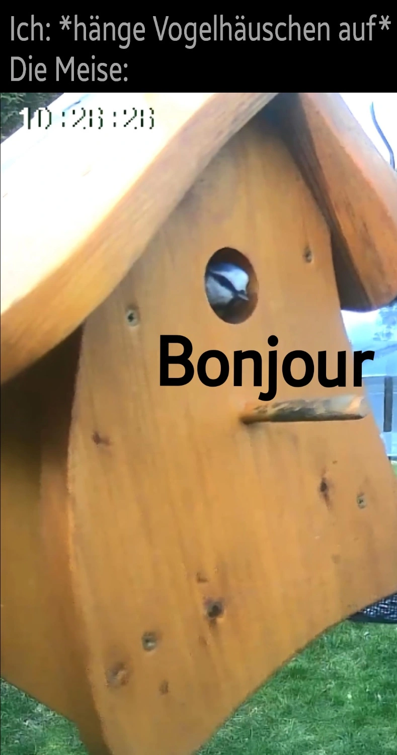 Text: „Ich: *hänge Vogelhäuschen auf*
Die Meise:“
Darunter ist eine Meise zu sehen, die aus dem Eingang eines Vogelhäuschens schaut. Darunter der Text: „Bonjour“