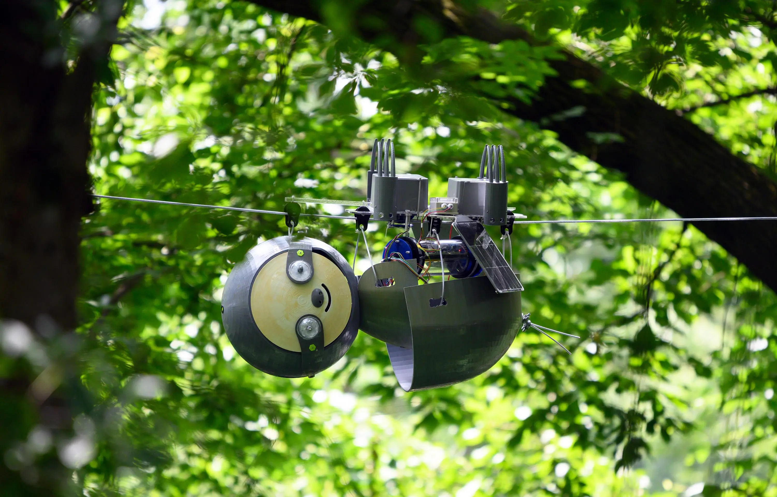 Slothbot Lives Up To Its Name