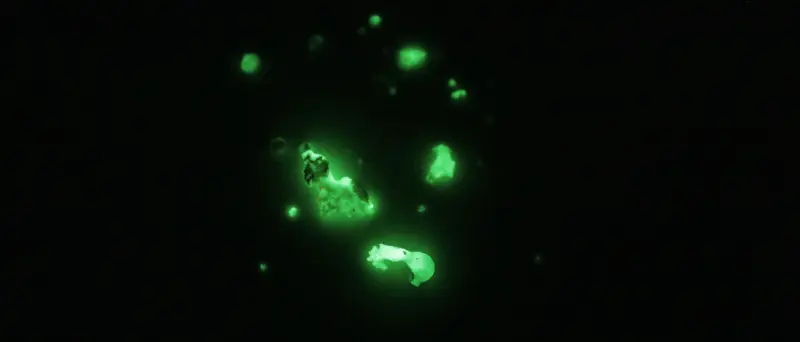 DIY Strontium Aluminate Glows In The Dark