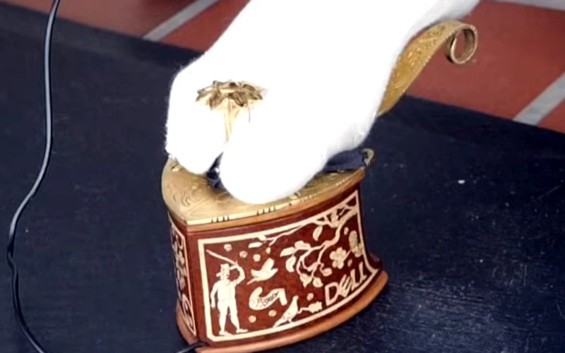 A Mouse, No Hands!