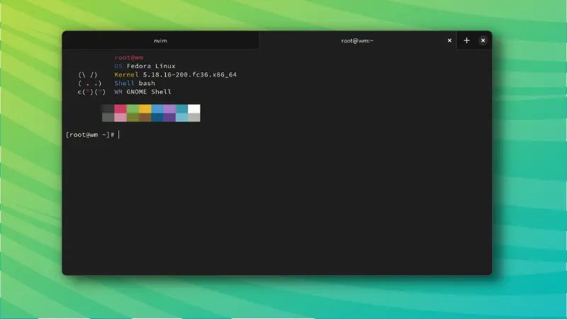 Blackbox: A Beautiful Terminal for Linux