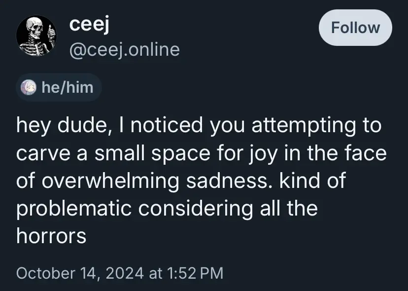 A Bluesky screenshot from @ceej.online that says:
hey dude, I noticed you attempting to carve a small space for joy in the face of overwhelming sadness. kind of problematic considering all the horrors
