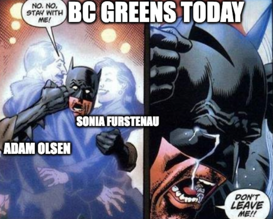 Batman don't leave me Meme "BC Greens today" "Adam Olsen" "Sonia Furstenau"