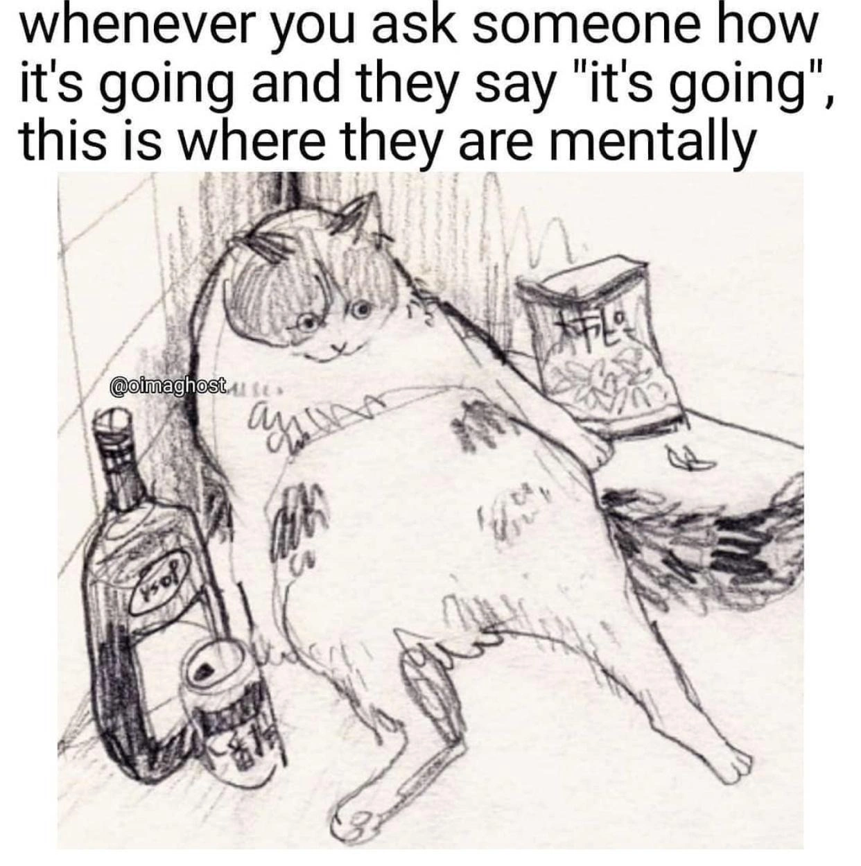 whenever you ask how they are and they say It's going, they are here mentally.  depicted is a fat kitty next to liquor bottles and junk food