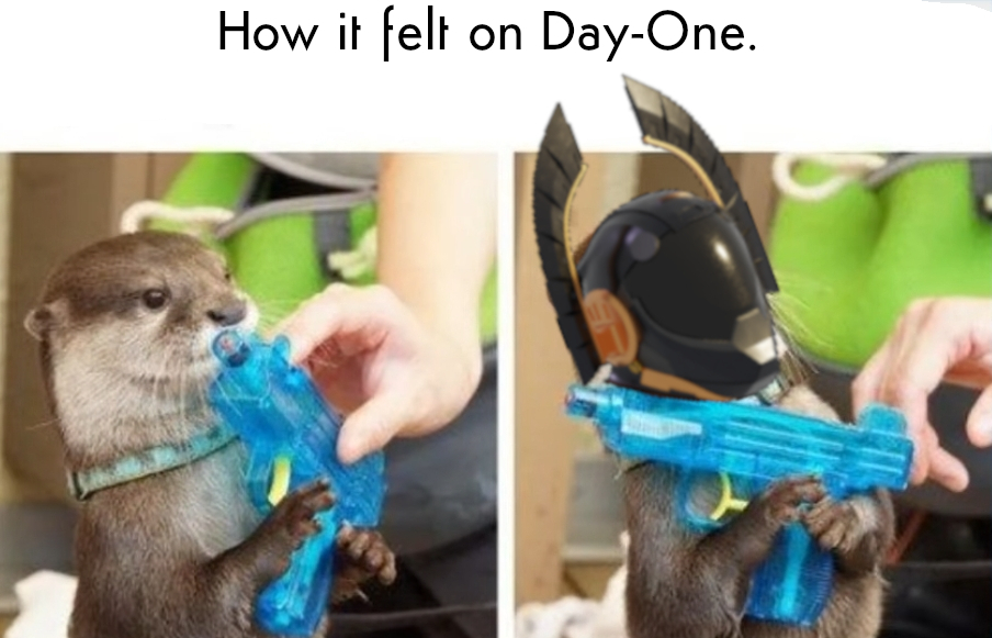 otter being handed a water gun, instantly gains winged pre-order helmet.