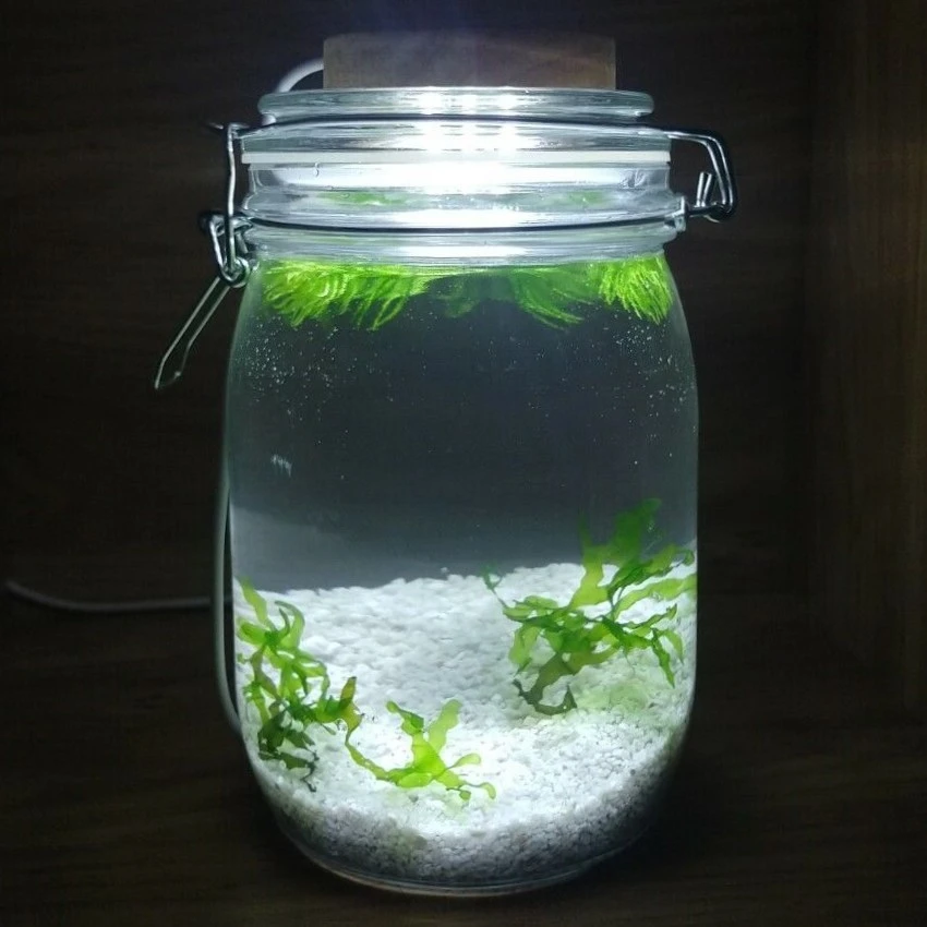 Ecospheres - Mander