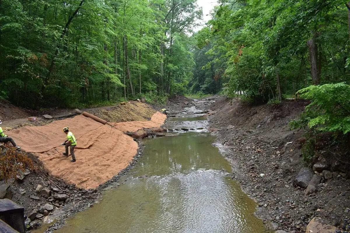 Restoring and protecting Sand Run Metro Park (conclusion)