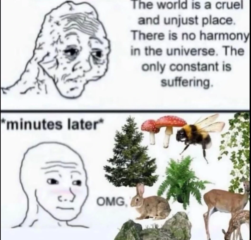 Sad wojack: The world is a curel and uncaring place. The only constant is suffering.

Mildly happy Wojack: *minutes later* "OMG" with pictures of nature