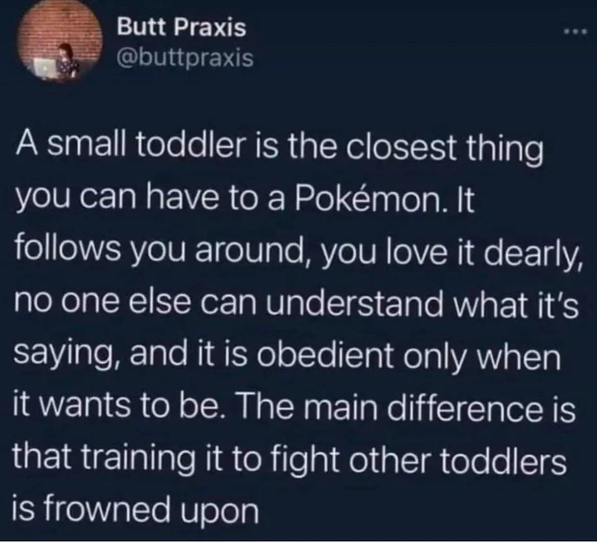 Tweet by @buttpraxis:
"A small toddler is the closest thing you can have to a Pokemon. It follows you around, you love it dearly, no one else can understand what it's saying, and it is obedient only when it wants to be. The main difference is that training it to fight other toddlers is frowned upon.