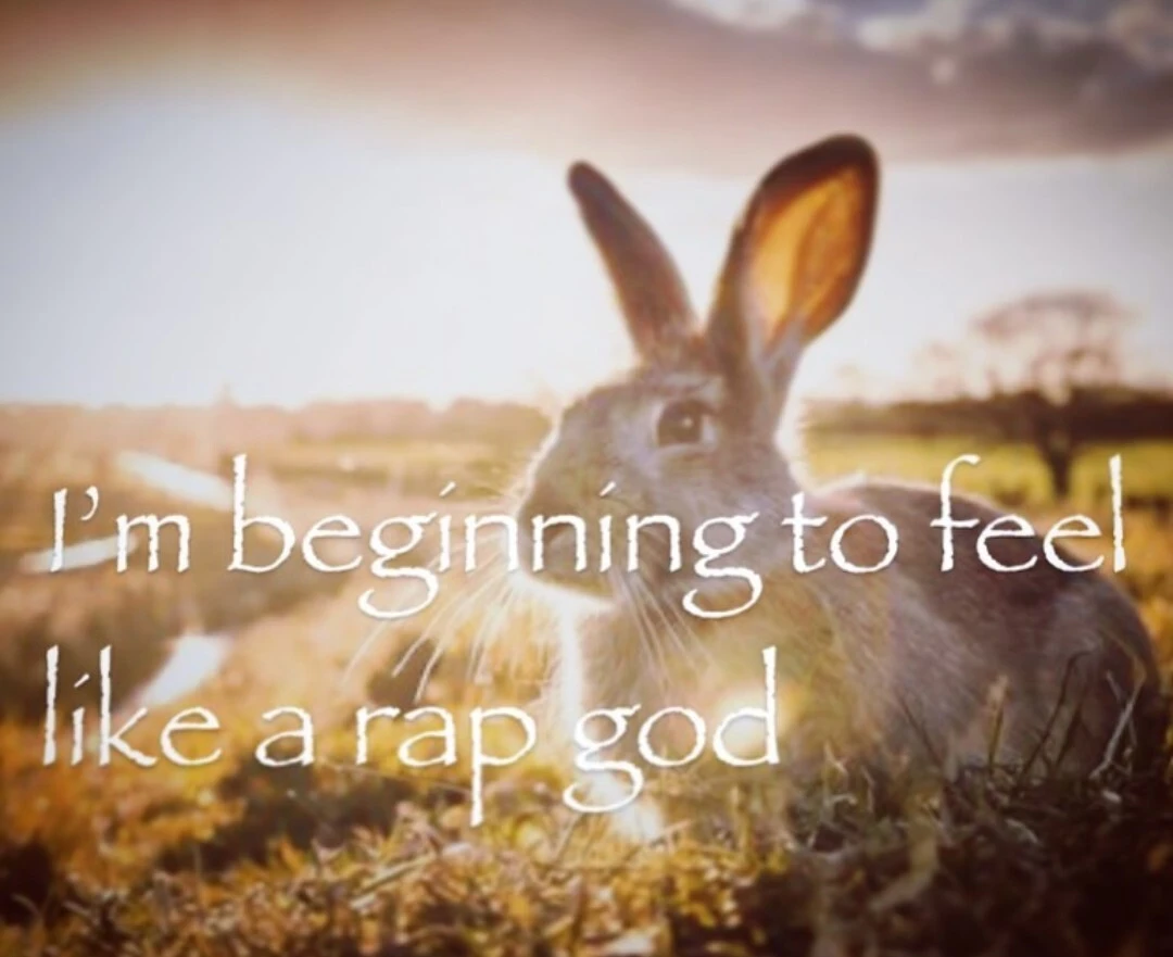 Picture of a rabbit captioned "I'm beginning to feel like a rap god"
