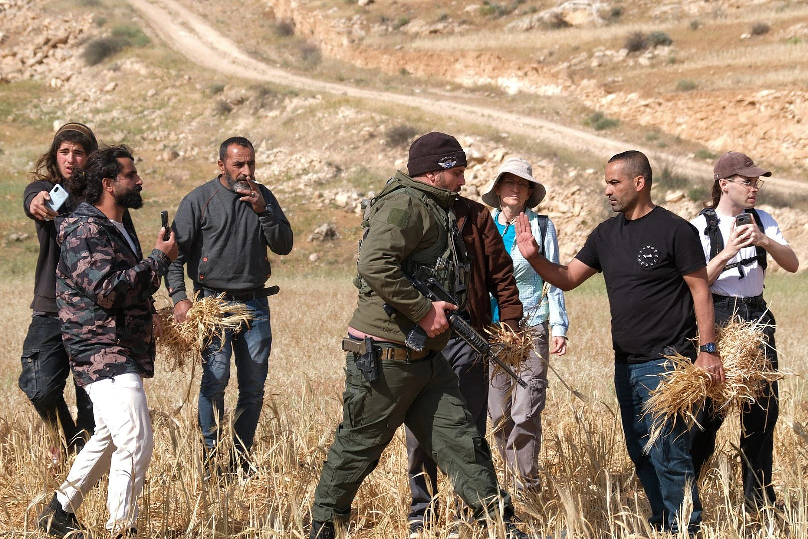 Besieged by settlers, Palestinians race to harvest wheat early