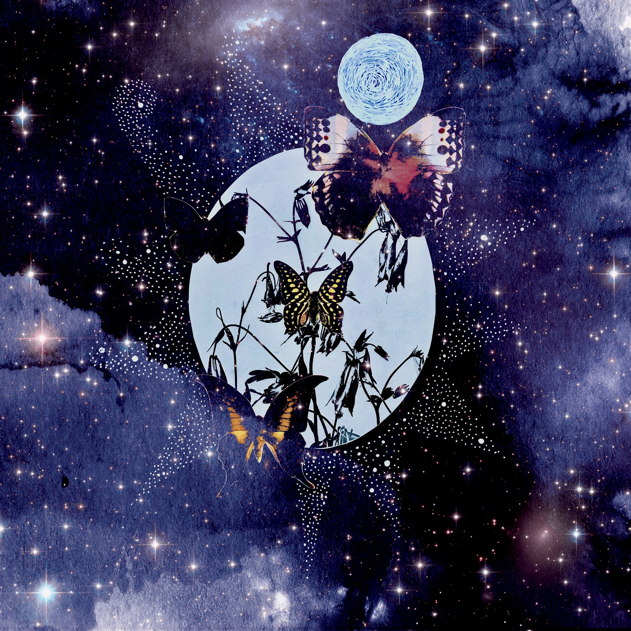Cosmos Co-op—Catalyzing Our Creative Evolution