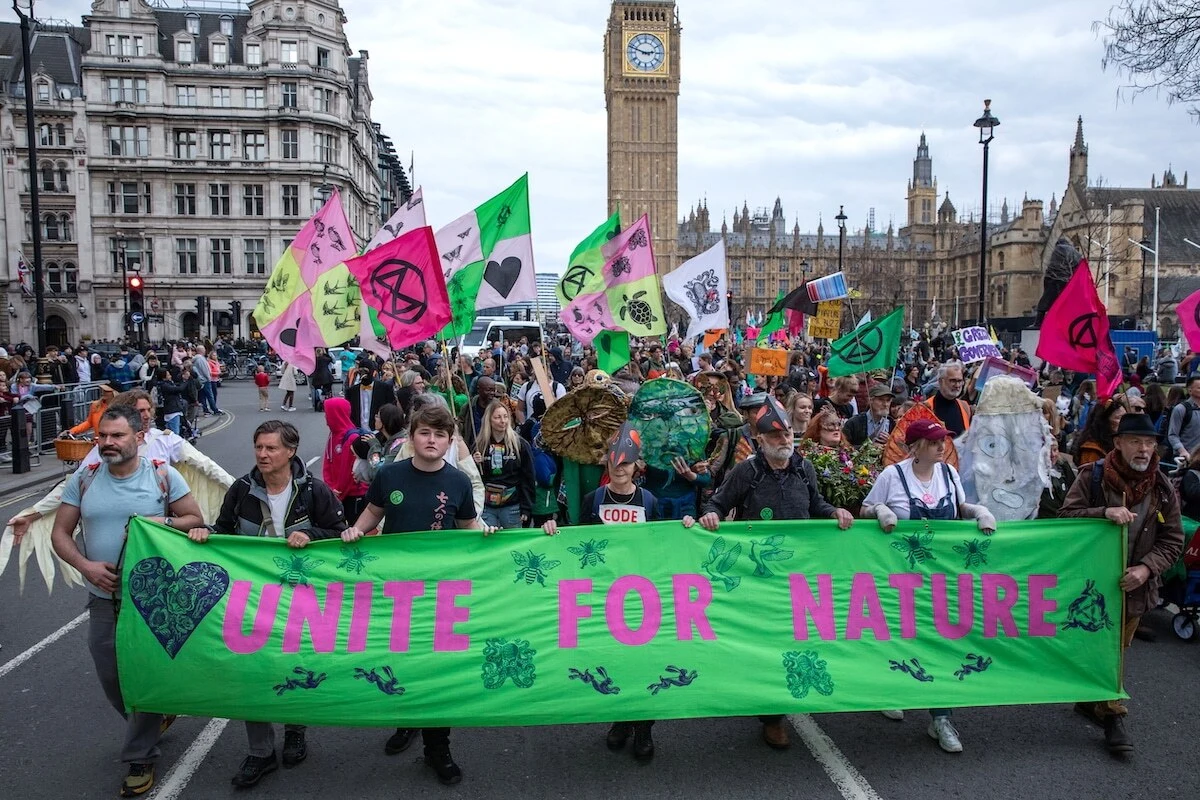 Unleashing the 89% of People Who Want Climate Action Could Lead to ‘Social Tipping Point’ and More Government Action, Experts Say - EcoWatch