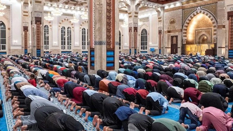 What Do We Know About The Mufti Bill 2024? – Analysis