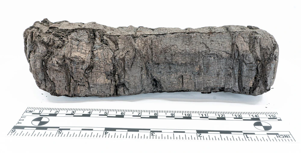 Erster Blick in Schriftrolle aus Herculaneum