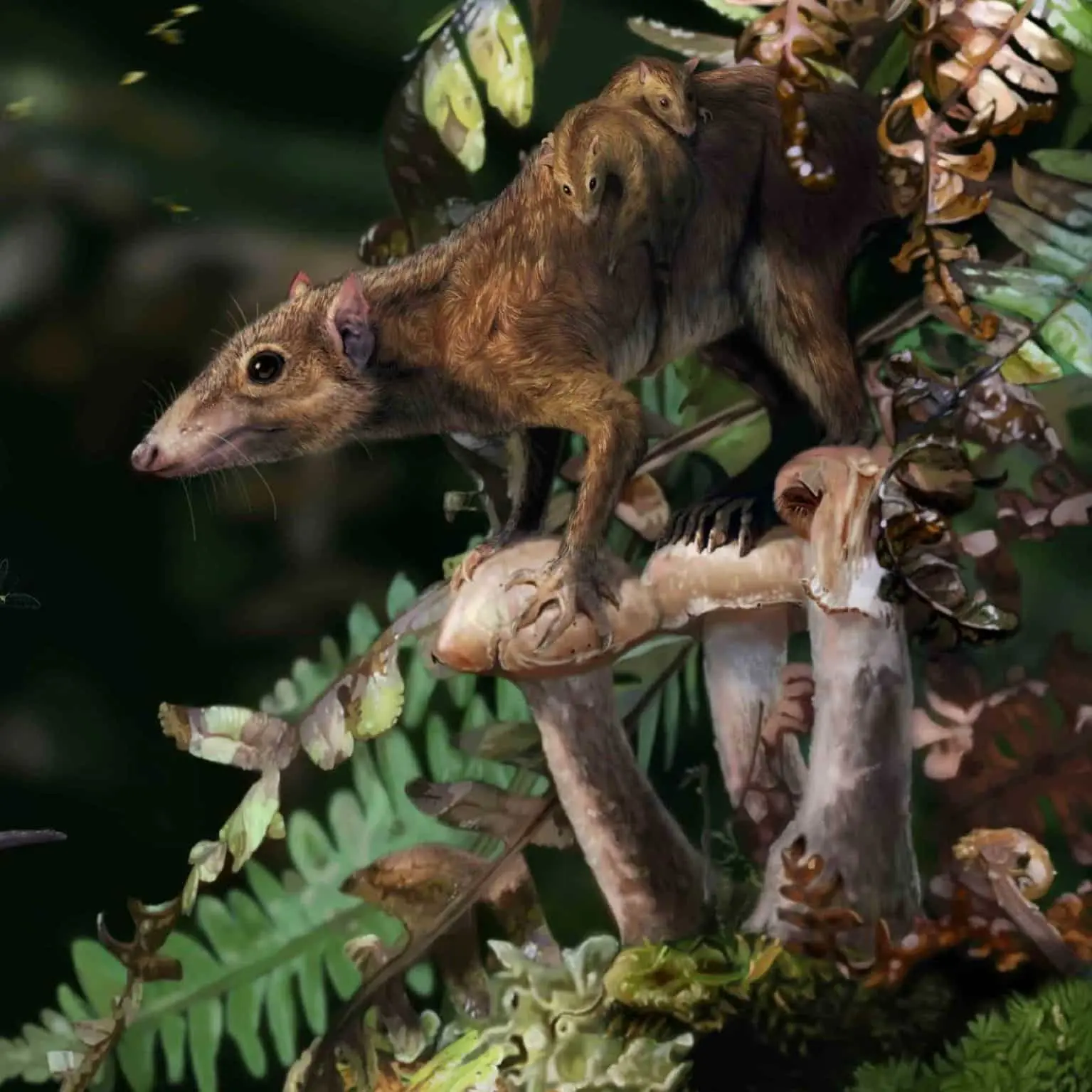 Mammals went ground-based before the Asteroid Impact, study reveals