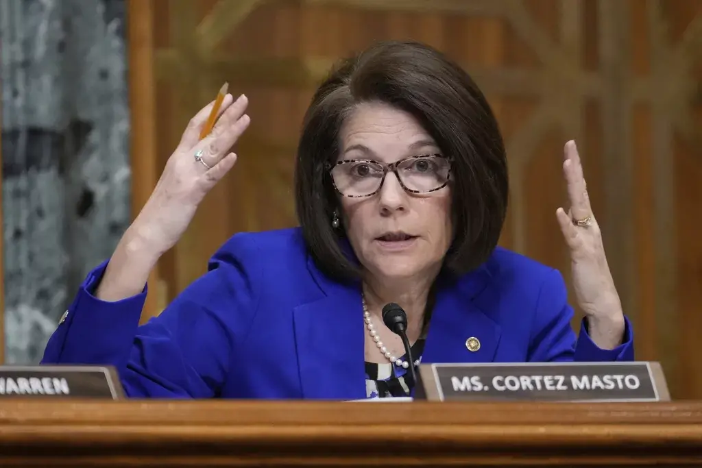 New moderate Democrat leader tells party to follow 'common sense' messaging