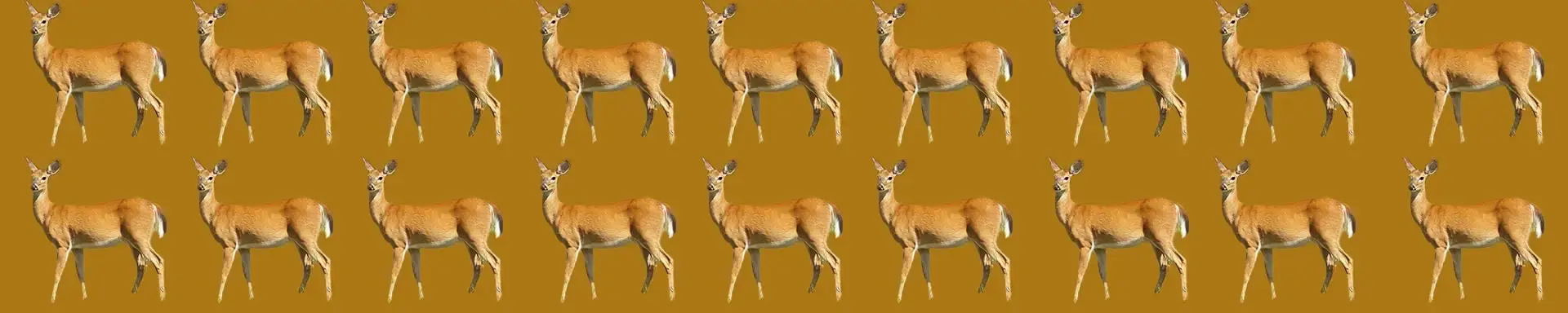 User banner