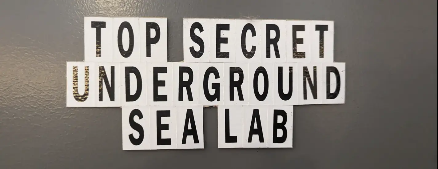 User banner
