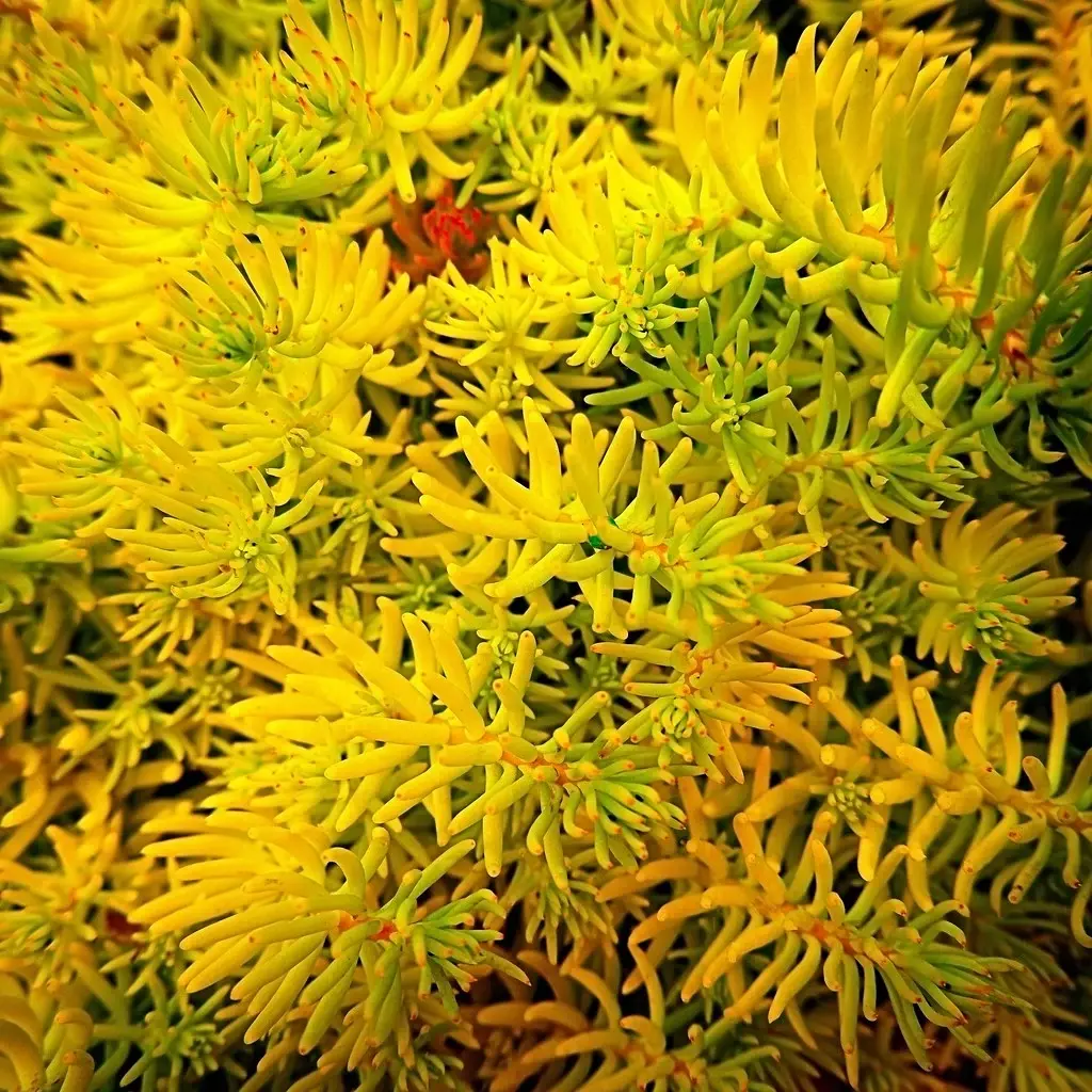 User banner