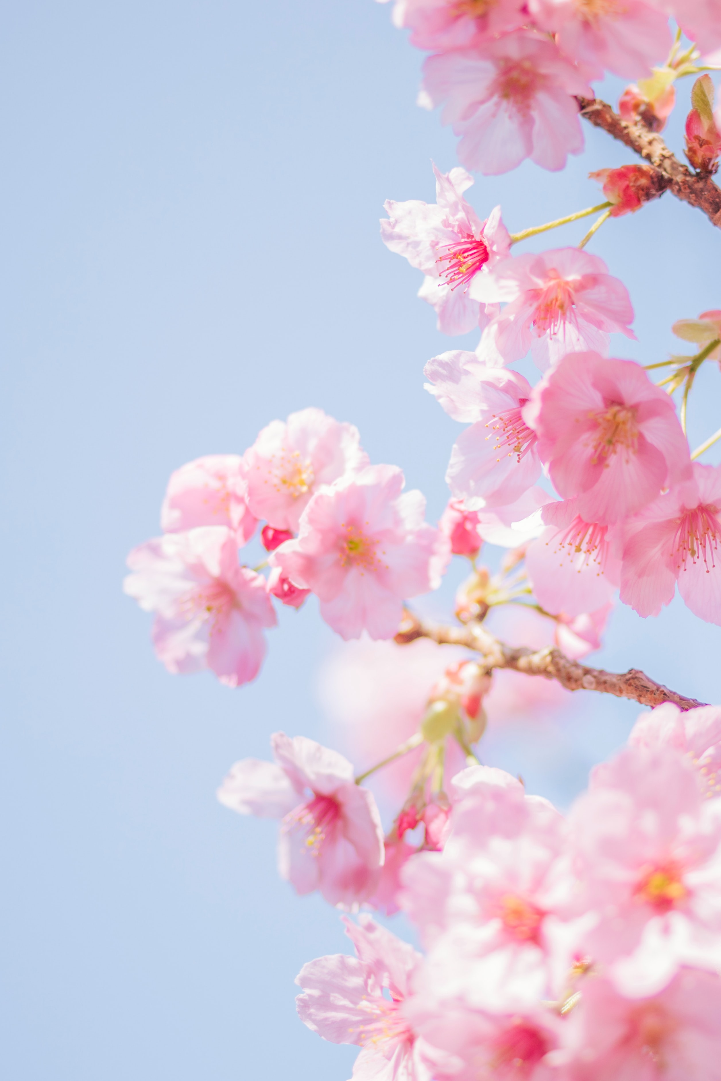 User banner