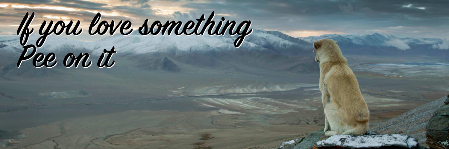 User banner