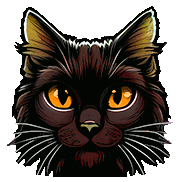 User banner