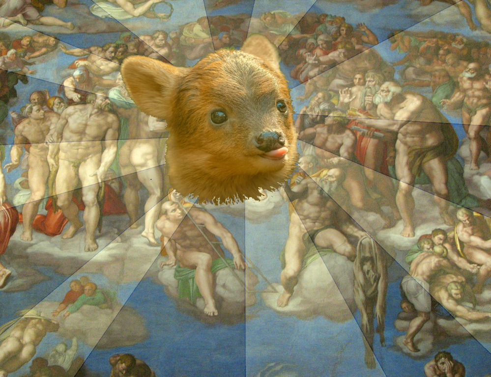 User banner