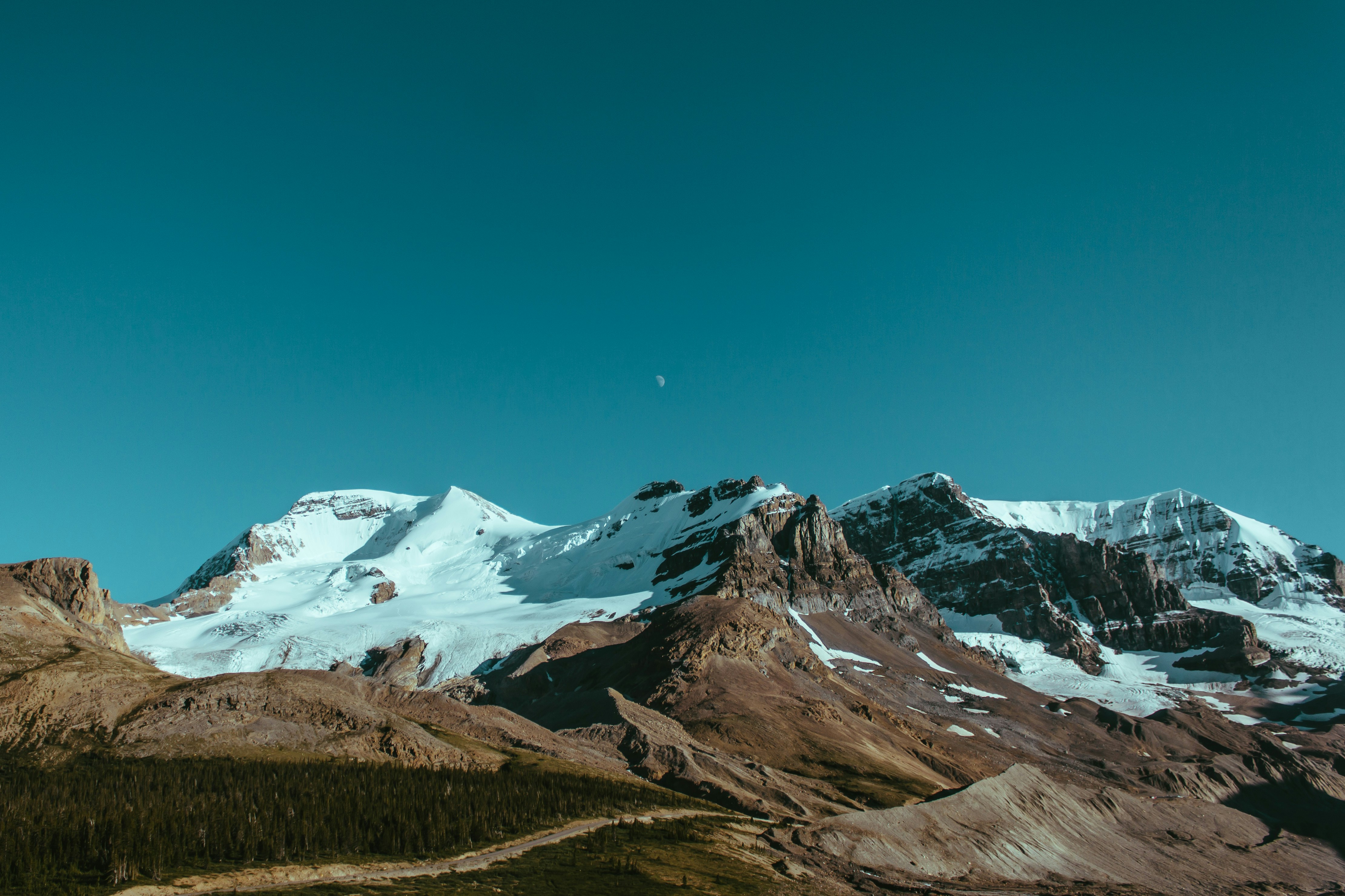 User banner