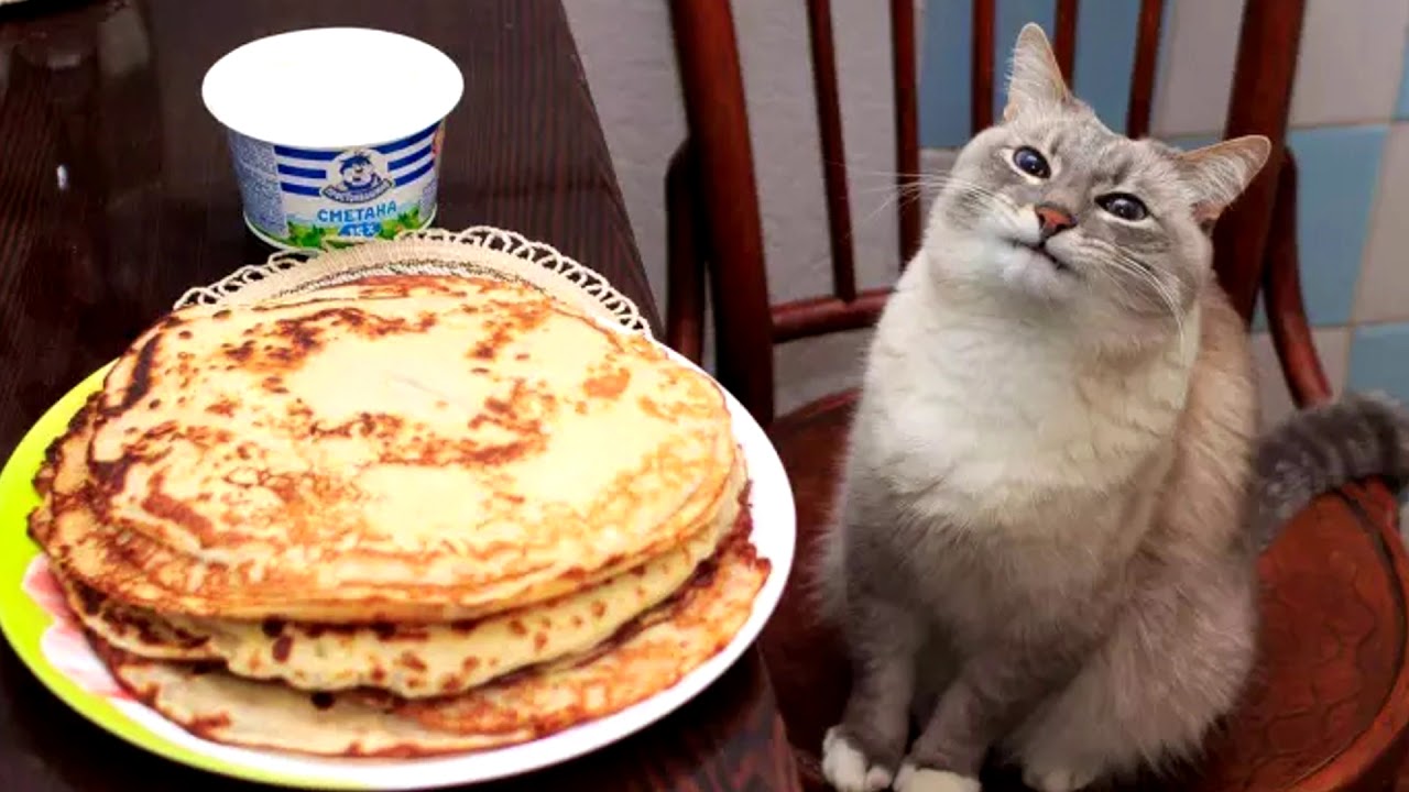 User banner