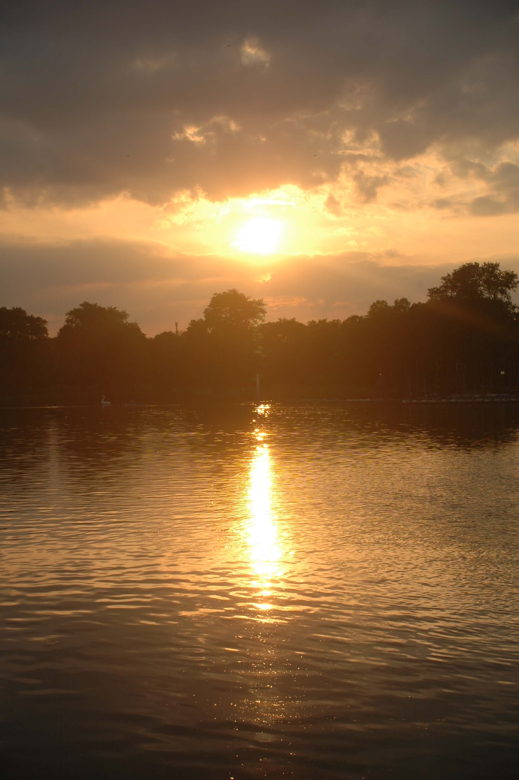 User banner