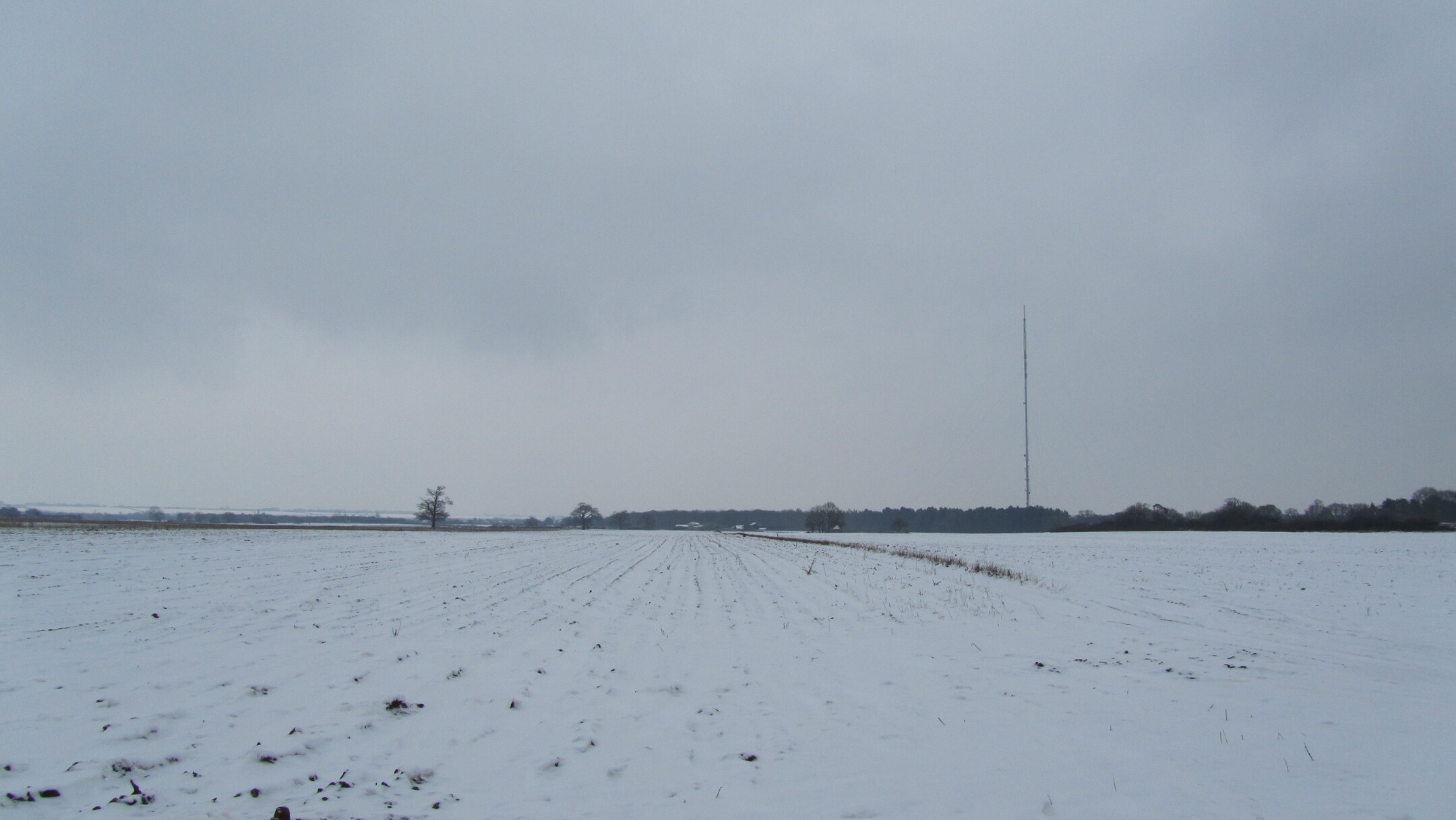User banner