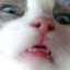 User banner
