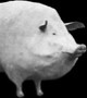 User banner
