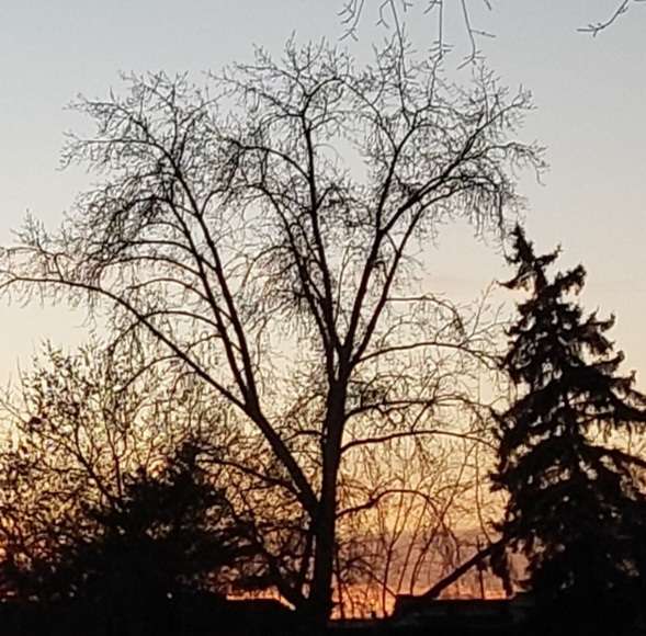 User banner
