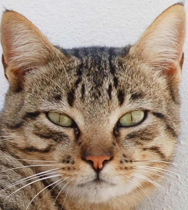User banner