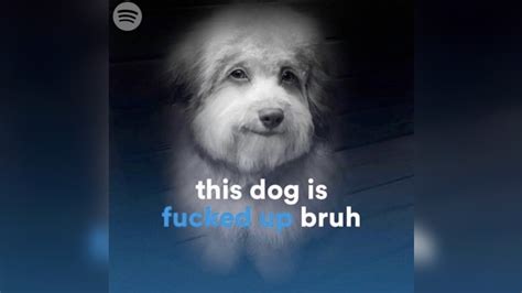 User banner