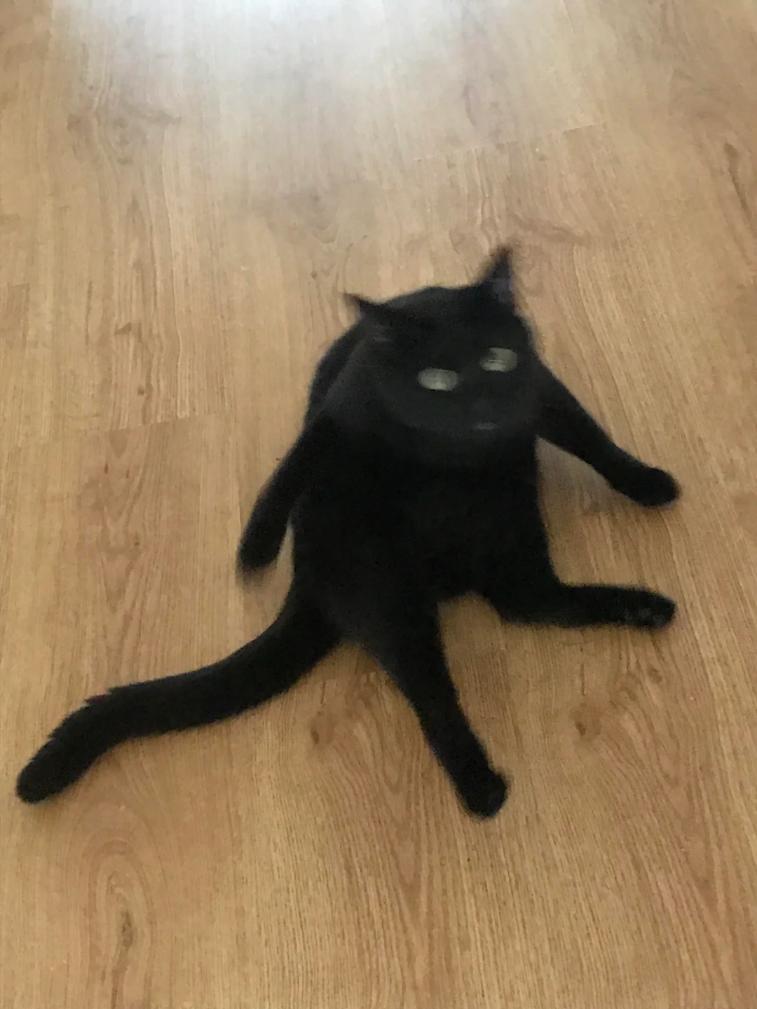 User banner