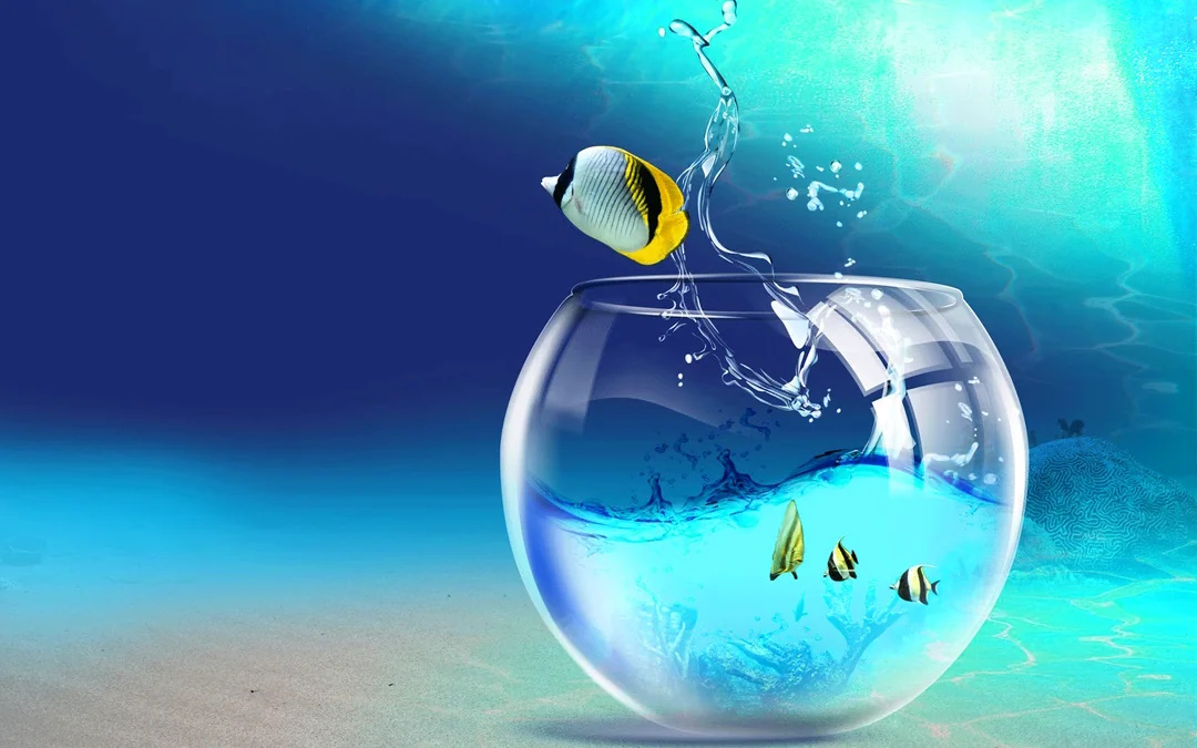 User banner