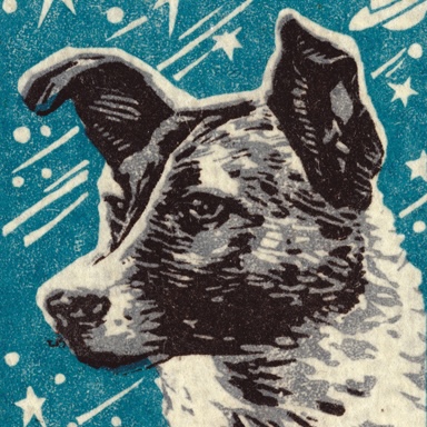 User banner